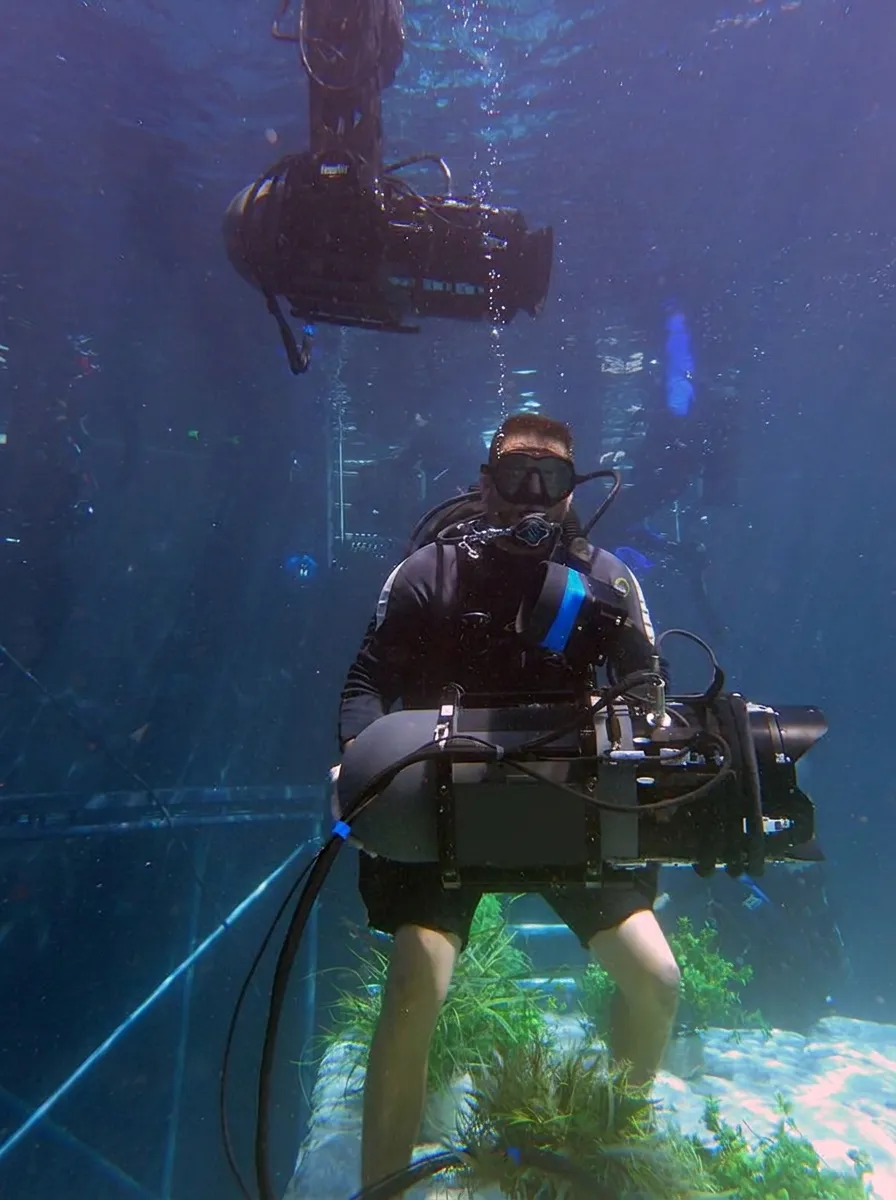 Workshop Underwater Cinematography und Cage Diving